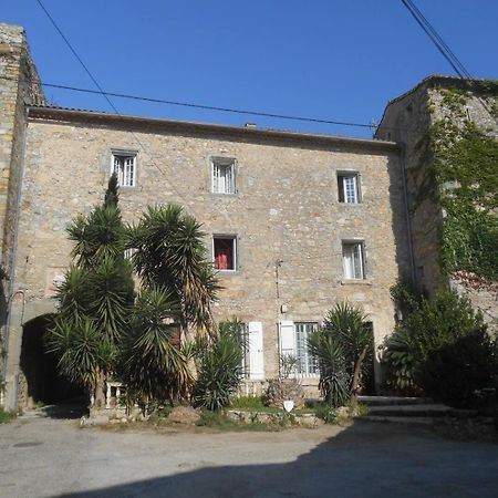 Logis De La Meschaussee, Dans Donjon Du Xie Siecle Canet Kültér fotó