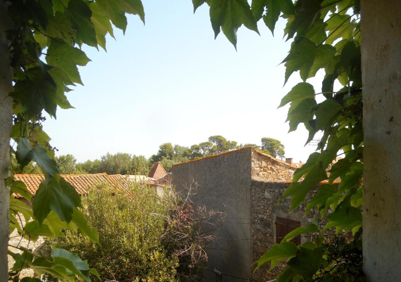 Logis De La Meschaussee, Dans Donjon Du Xie Siecle Canet Kültér fotó